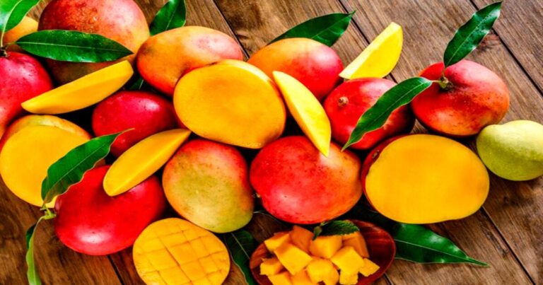 Lee más sobre el artículo Mango Life – todo lo que debes saber 2021